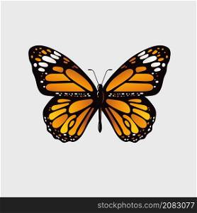 Monarch butterfly Hand drawn vector illustration