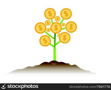 Money tree invesment business concept