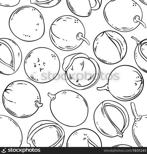 mongongo nuts vector pattern on white background. mongongo vector pattern on white background