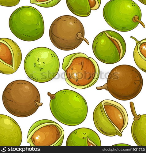 mongongo nuts vector pattern on white background. mongongo vector pattern on white background