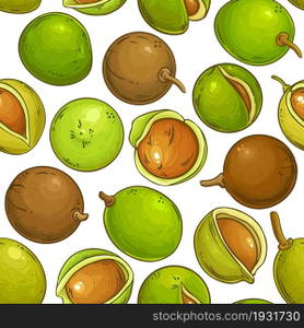 mongongo nuts vector pattern on white background. mongongo vector pattern on white background