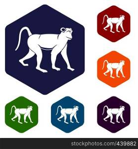 Monkey icons set hexagon isolated vector illustration. Monkey icons set hexagon