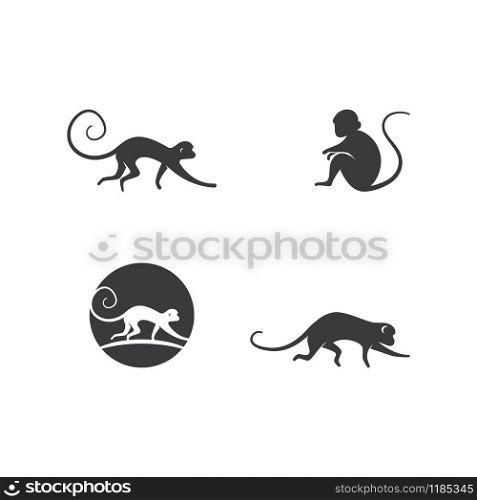 Monkey logo ilustration vector flat design