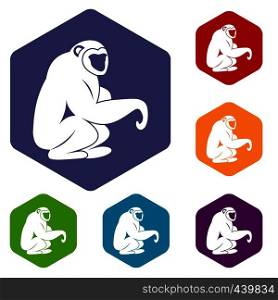 Monkey sitting icons set hexagon isolated vector illustration. Monkey sitting icons set hexagon
