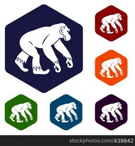 Monkey standing icons set hexagon isolated vector illustration. Monkey standing icons set hexagon