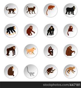 Monkey types icons set in flat style isolated vector icons set illustration. Monkey types icons set in flat style