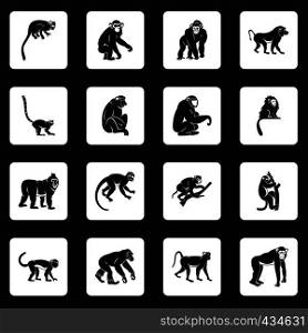 Monkey types icons set in white squares on black background simple style vector illustration. Monkey types icons set squares vector