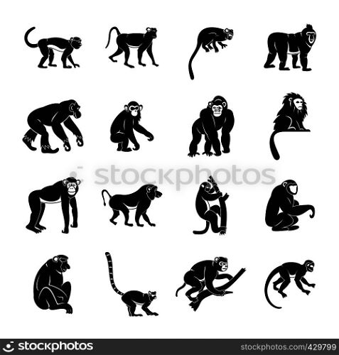 Monkey types icons set. Simple illustration of 16 monkey types vector icons for web. Monkey types icons set, simple style