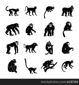 Monkey types icons set. Simple illustration of 16 monkey types vector icons for web. Monkey types icons set, simple style