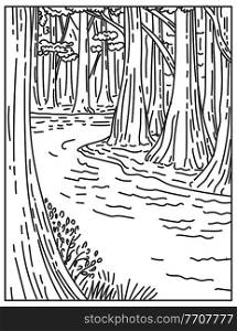 Mono line illustration of an old growth bottomland hardwood forest in Congaree National Park in central South Carolina, United States done in retro black and white monoline line art sty. An Old Growth Bottomland Hardwood Forest in Congaree National Park in Central South Carolina United States Mono Line or Monoline Black and White Line Art