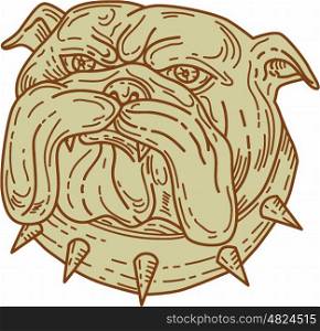 Mono line style illustration of a bulldog dog mongrel head mascot with collar viewed from front set on isolated white background.. Bulldog Dog Mongrel Head Collar Mono Line