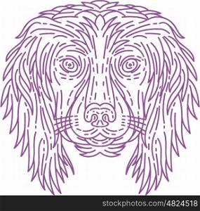 Mono line style illustration of a cocker spaniel dog head viewed from the front set on isolated white background. . English Cocker Spaniel Dog Head Mono Line