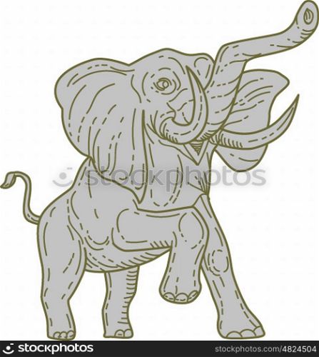 Mono line style illustration of an african elephant prancing viewed from front set on isolated white background. . African Elephant Prancing Mono Line