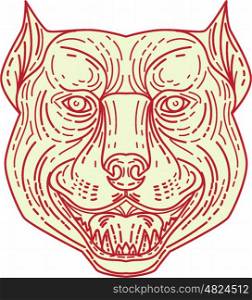 Mono line style illustration of an angry pitbull dog mongrel head facing front set on isolated white background.. Pitbull Dog Mongrel Head Mono Line