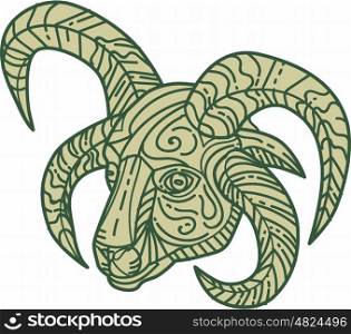 Mono line style illustration of Manx Loaghtan, a breed of sheep (Ovis aries) native to the Isle of Man head with four horns set on isolated white background.
