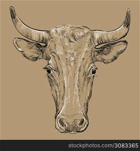 Monochrome cow head sketch hand drawn vector illustration isolated on brown background. Vintage illustration of horned bull front view for label, poster, print and design.. Head of horned bull vector illustration brown
