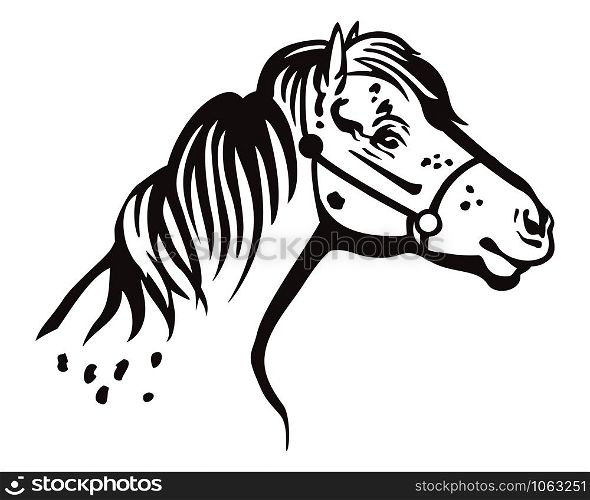 Monochrome decorative portrait in profile of pony in bridle, vector isolated illustration in black color on white background. Image for design and tattoo.