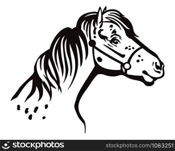 Monochrome decorative portrait in profile of pony in bridle, vector isolated illustration in black color on white background. Image for design and tattoo.