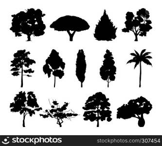 Monochrome illustrations of different trees silhouettes. Black wood tree with leaf vector. Monochrome illustrations of different trees silhouettes