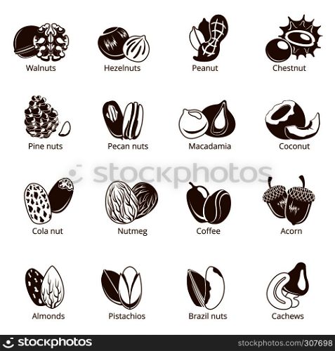 Monochrome illustrations of nuts. Vector pictures isolate on white background. Collection of various vegetarian organic nuts for healthy. Monochrome illustrations of nuts. Vector pictures isolate on white background