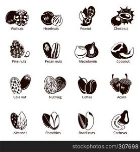Monochrome illustrations of nuts. Vector pictures isolate on white background. Collection of various vegetarian organic nuts for healthy. Monochrome illustrations of nuts. Vector pictures isolate on white background
