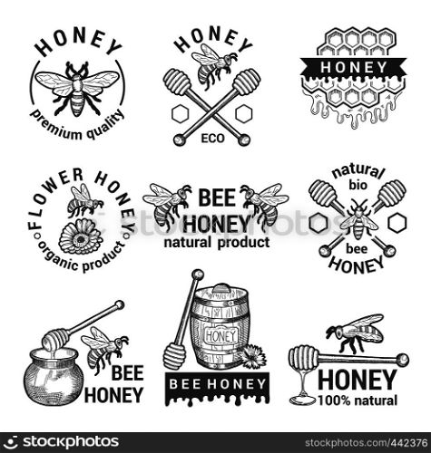 Monochrome labels set with honey, bees and honeycomb. Honey organic label and icon, healthy sweet food. Vector illustration. Monochrome labels set with honey, bees and honeycomb