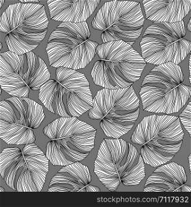 Monochrome monstera leaves seamless pattern. Tropical pattern, botanical leaf on gray background. Trendy design for fabric, textile print, wrapping paper. Vector illustration. Monochrome monstera leaves seamless pattern. Tropical pattern, b