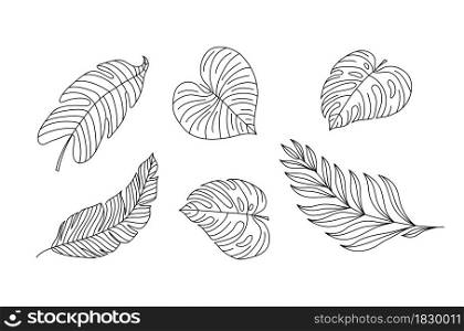 Monoline vector drawing exotic tropical leaf monstera plant. Printable decorative set houseplant for home wall decor poster ornament monoline. Modern draw design graphic illustration line.. Monoline vector drawing exotic tropical leaf monstera plant. Printable decorative set houseplant for home wall decor poster ornament monoline. Modern draw design graphic illustration line