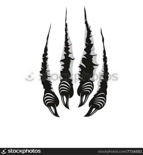 Monster claw marks, scratches of dragon fingers with long nails tears through paper or wall surface. Vector wild animal rips, paw sherds, beast break, four talons traces isolated on white background. Monster claw marks, scratches of dragon fingers