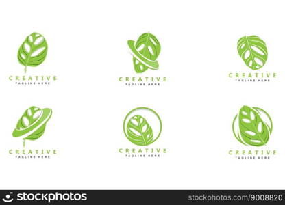 Monstera adansonii Leaf Logo, Green Plant Vector, Tree Vector, Rare Leaf Illustration