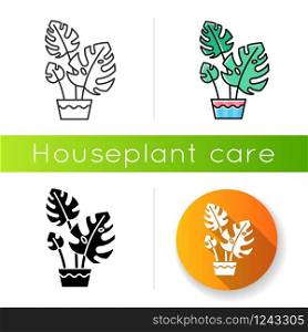 Monstera deliciosa icon. Swiss cheese plant. Philodendron. Indoor plant with split leaves. Leafy houseplant. Home, office decor. Linear black and RGB color styles. Isolated vector illustrations