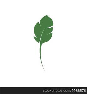 Monstera deliciosa Leaf Logo Vector Template Illustration Design Green Monstera leaf icons design template vector