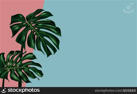 Monstera deliciosa on color paper background with copy space vector illustration