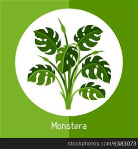 Monstera. Illustration of exotic tropical plant or bush. Monstera. Illustration of exotic tropical plant or bush.
