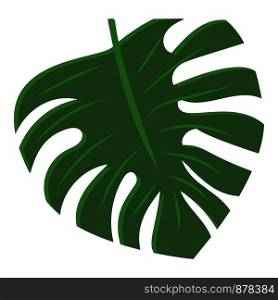 Monstera leaf icon. Cartoon of monstera leaf vector icon for web design isolated on white background. Monstera leaf icon, cartoon style