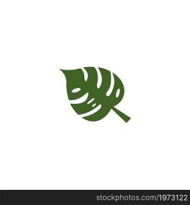 monstera leaf icon vector design template
