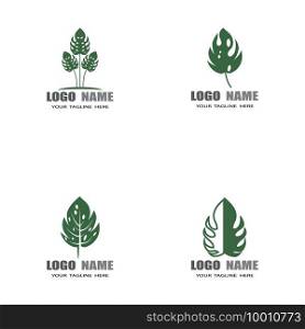Monstera leaf logo vector design