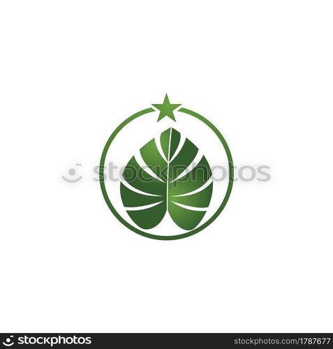 Monstera leaf logo vector design