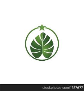 Monstera leaf logo vector design