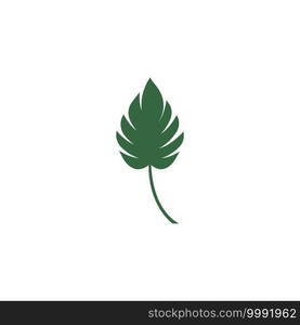 Monstera leaf logo vector design