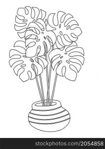 Monstera plant in a pot on white background. Potted houseplant, indoor vector illustration.