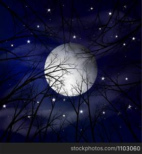 Moon night landscape. Vector illustration. Night forest. Moon night landscape. Vector illustration