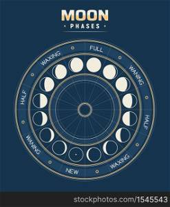 Moon phases, vector calendar of lunar cycles new, waning, half, full and waxing. Astronomy or astrology science, moon phases or stages inside of circle with separated segments. Earth satellite poster. Moon phases, vector calendar of lunar cycles.