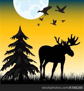 Moose on glade. The Silhouette moose on glade in the night.Vector illustration