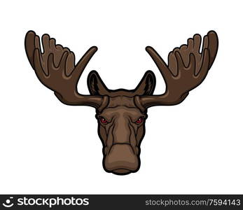 Moose or elk head animal mascot, hunting sport or wildlife vector theme. Hoofed and horned elk with palmate antlers and brown fur isolated on white. Elk or moose animal head with antlers