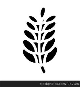 moringa bio vitamin food glyph icon vector. moringa bio vitamin food sign. isolated contour symbol black illustration. moringa bio vitamin food glyph icon vector illustration