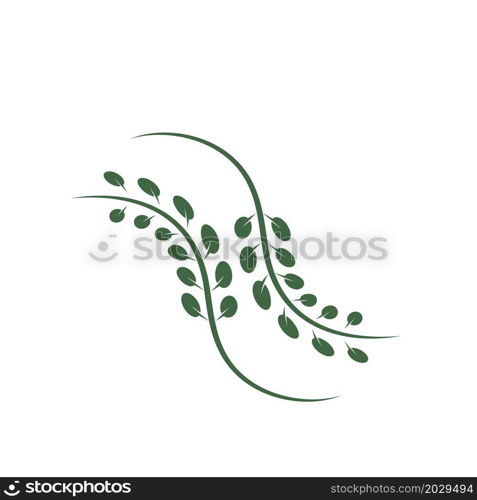 moringa leaf icon vector illustration design template web