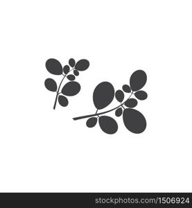 Moringa leaf Logo Template vector symbol nature