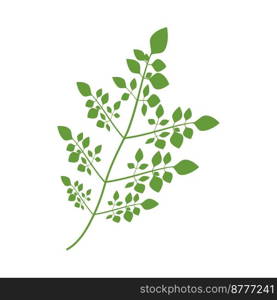 Moringa Leaf Logo Template Vector Symbol Nature