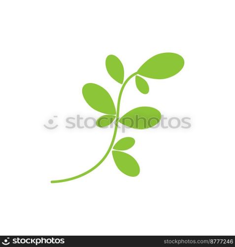 Moringa Leaf Logo Template Vector Symbol Nature